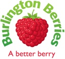 Burlington Berries